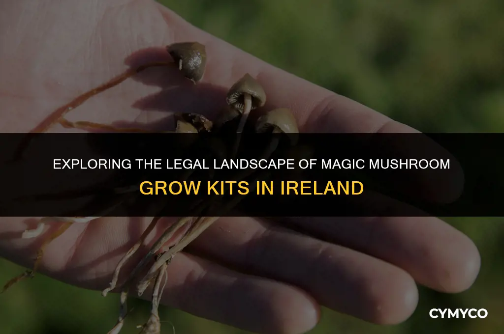 are magic mushroom grow kits illegal in ireland