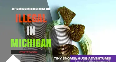 Exploring the Legality of Magic Mushroom Grow Kits in Michigan