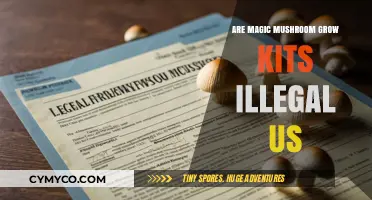 Exploring the Legality of Magic Mushroom Grow Kits in the US