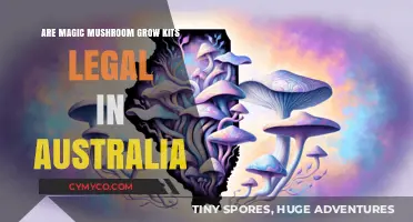 Exploring the Legality of Magic Mushroom Grow Kits in Australia