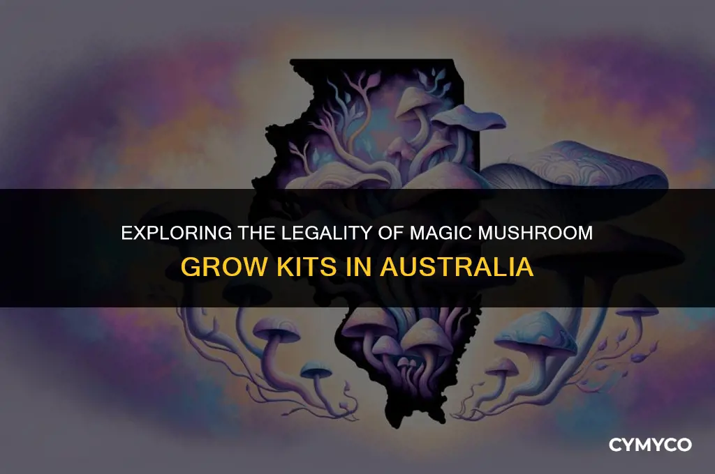 are magic mushroom grow kits legal in australia