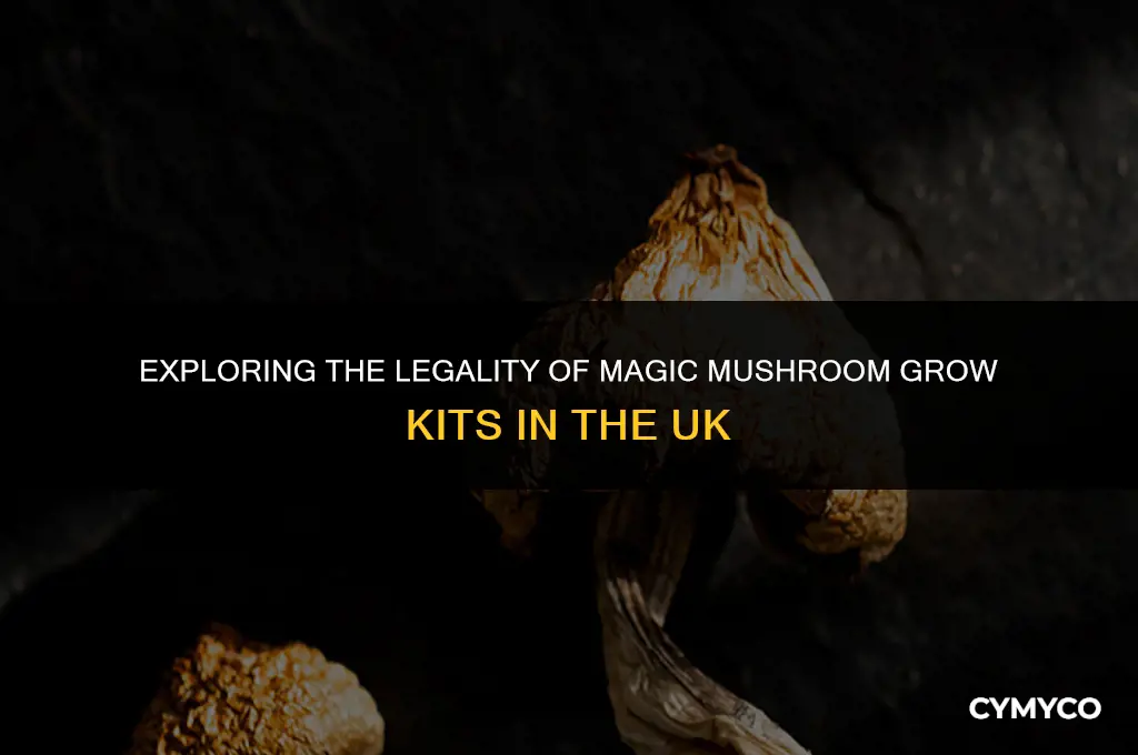 are magic mushroom grow kits legal in the uk