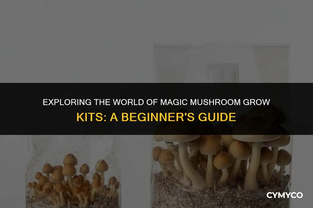 are magic mushroom grow kits
