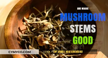 Exploring the Effects and Benefits of Magic Mushroom Stems