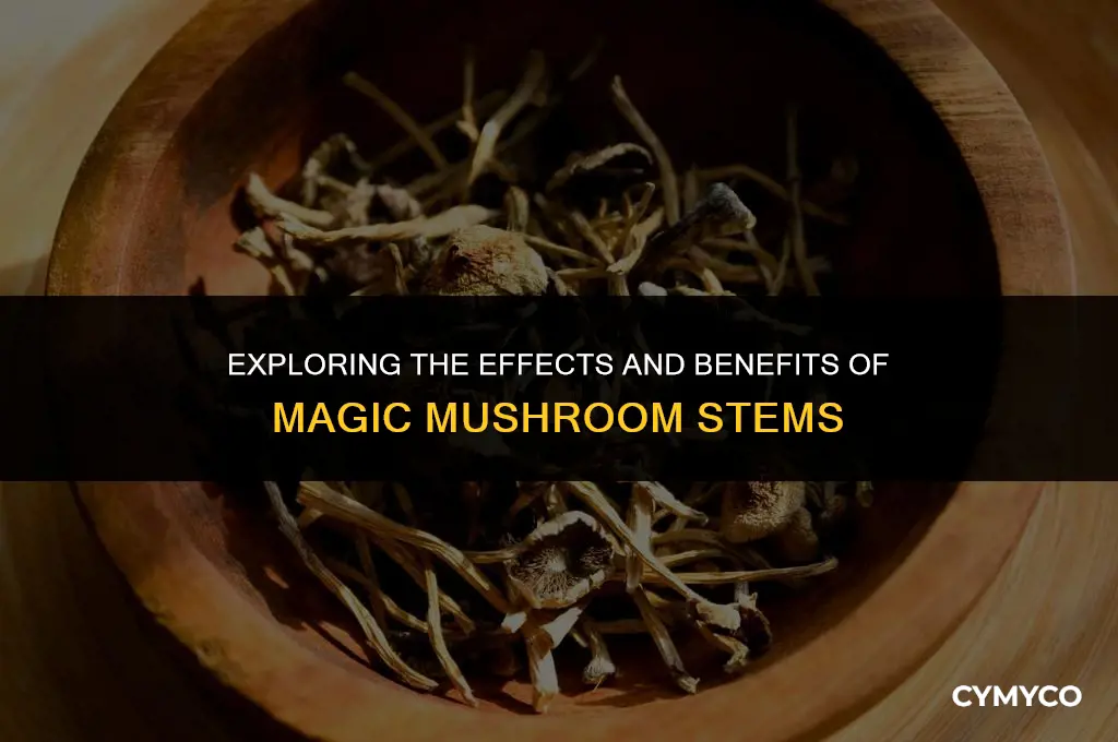 are magic mushroom stems good
