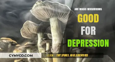 Exploring the Potential Benefits of Magic Mushrooms for Depression