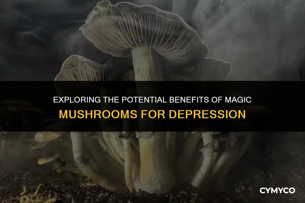 are magic mushrooms good for depression