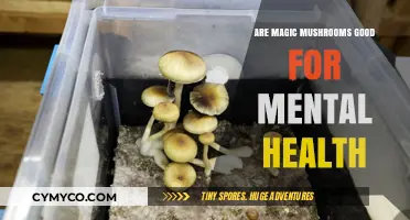 Exploring the Potential Mental Health Benefits of Magic Mushrooms