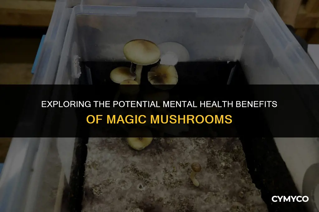 are magic mushrooms good for mental health