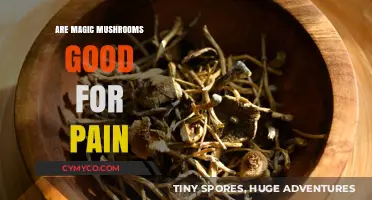 Exploring the Potential of Magic Mushrooms for Pain Relief