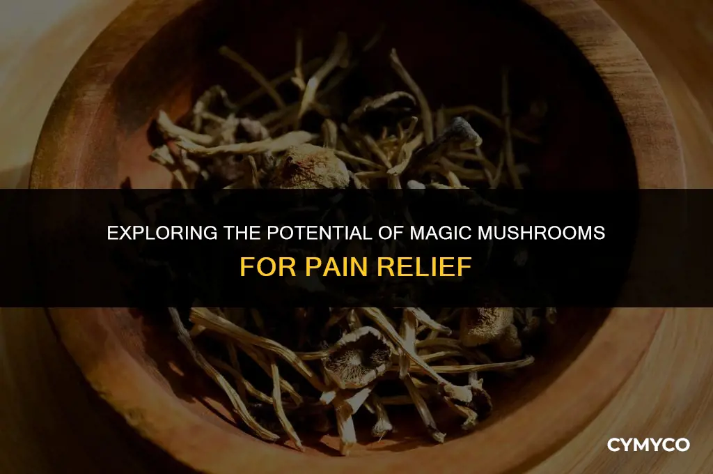 are magic mushrooms good for pain