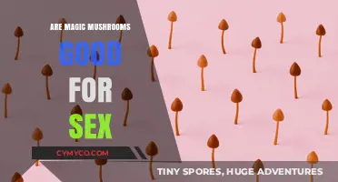 Exploring the Effects of Magic Mushrooms on Sexual Experiences