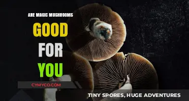 Exploring the Potential Health Benefits of Magic Mushrooms