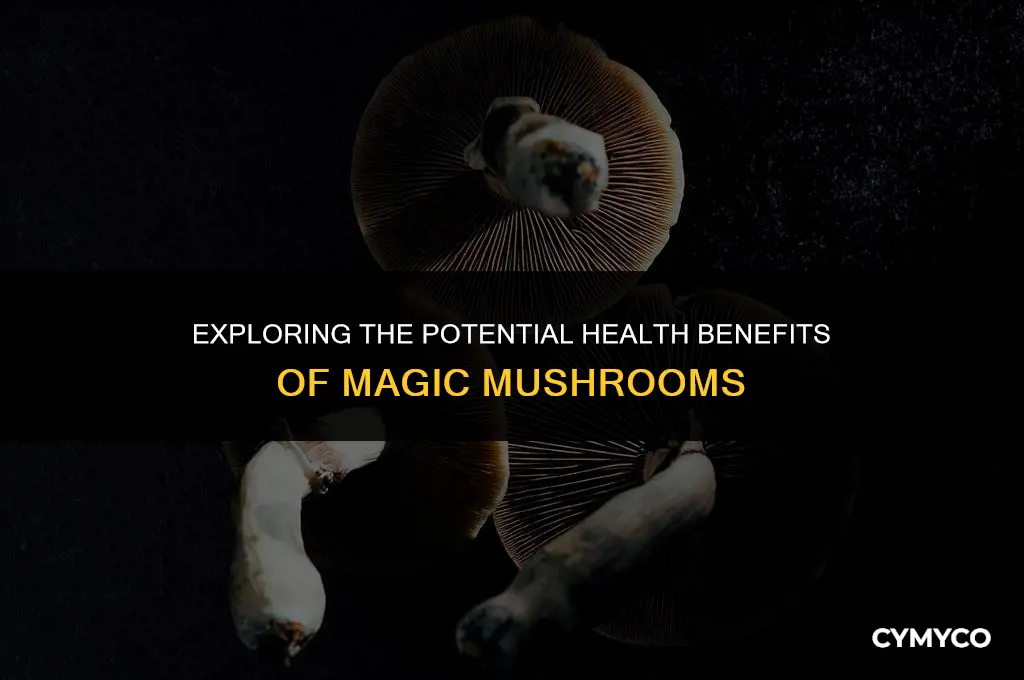 are magic mushrooms good for you