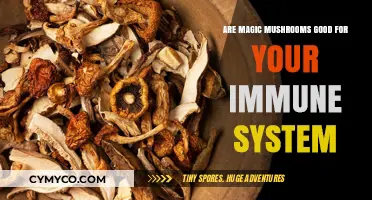 Exploring the Immunological Benefits of Magic Mushrooms