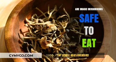 Exploring the Safety of Magic Mushrooms: A Comprehensive Guide
