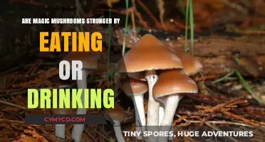 Exploring the Potency of Magic Mushrooms: Eating vs. Drinking