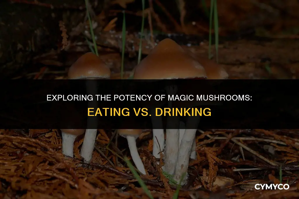 are magic mushrooms stronger by eating or drinking