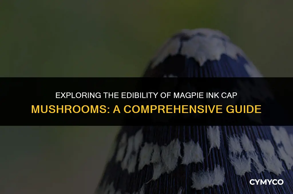 are magpie ink cap mushrooms edible