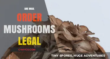 Exploring the Legality of Mail Order Mushrooms: A Comprehensive Guide