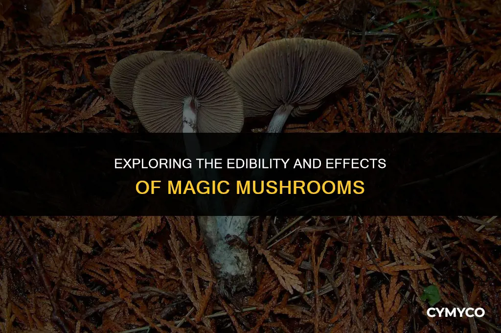 are majic mushrooms eaten