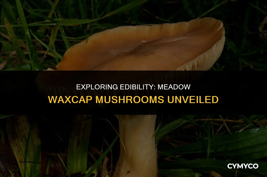 are meadow waxcap mushrooms edible
