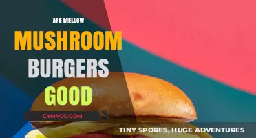 Savoring the Flavor: Are Mellow Mushroom Burgers Worth the Hype?