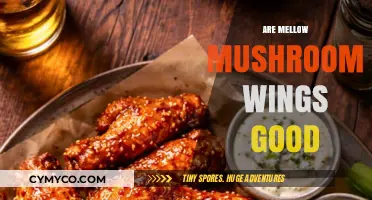 Exploring the Flavor: Are Mellow Mushroom Wings Worth the Hype?