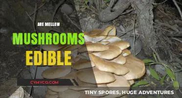Exploring the Edibility of Mellow Mushrooms: A Comprehensive Guide
