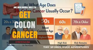 Understanding the Gender Link in Colon Cancer Risk