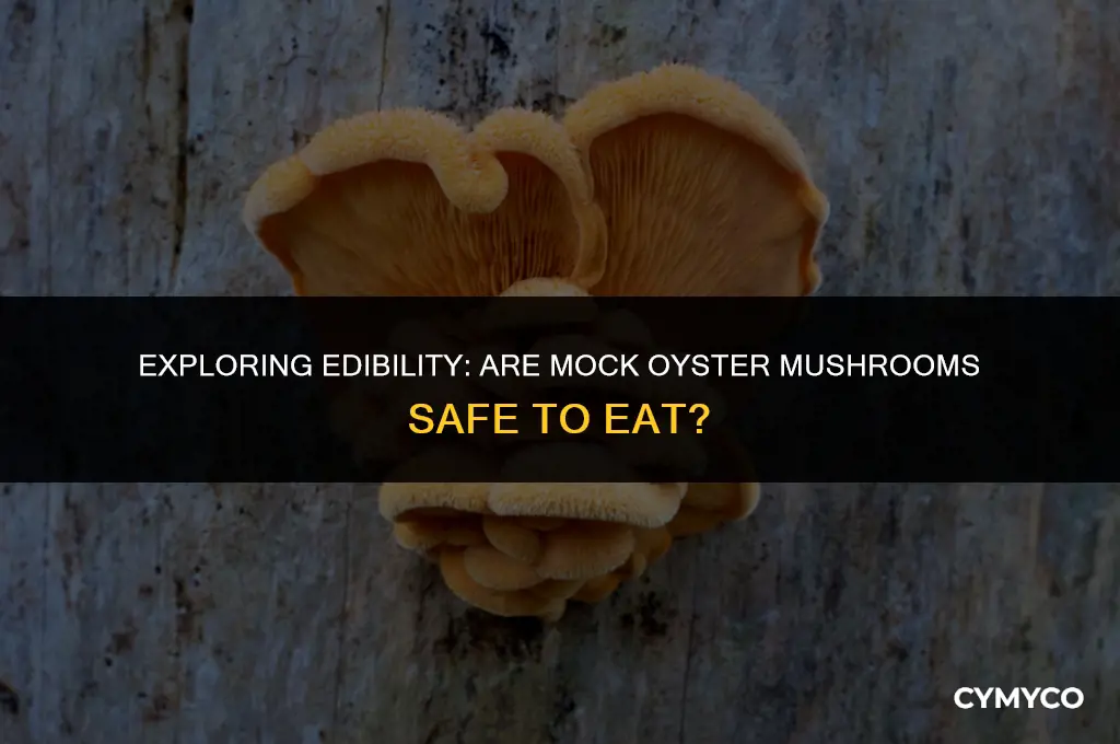 are mock oyster mushroom edible