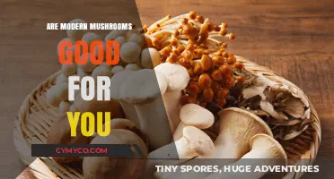 Exploring the Health Benefits of Contemporary Mushroom Varieties