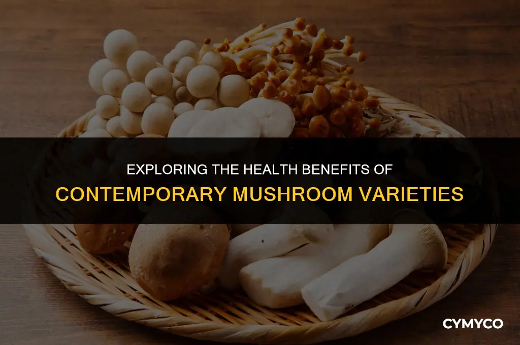 are modern mushrooms good for you