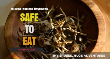 Exploring the Safety of Consuming Moldy Cubensis Mushrooms