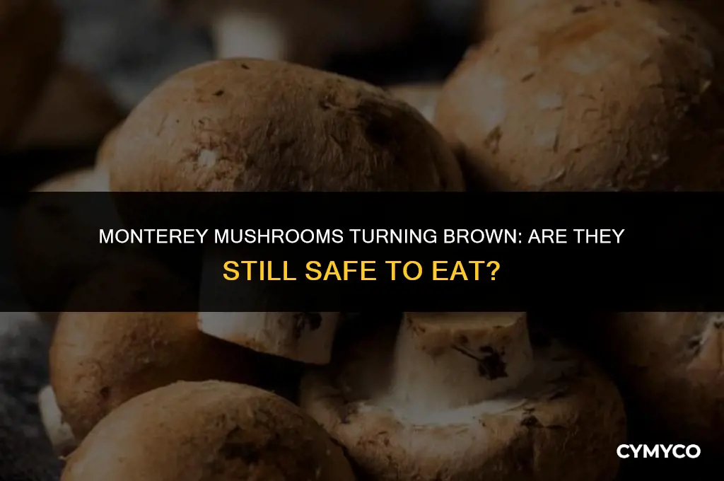 are monterey mushrooms that turn brown still edible