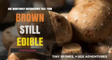 Monterrey Mushrooms Turning Brown: Are They Still Safe to Eat?