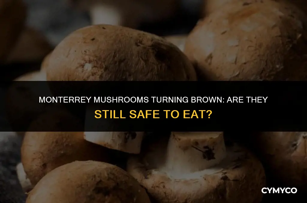 are monterrey mushrooms that turn brown still edible