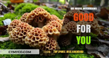 Exploring the Health Benefits of Moral Mushrooms: A Nutritional Guide