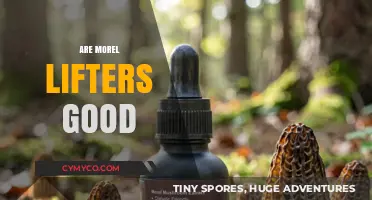 Exploring the Benefits and Hype of Morel Mushroom Supplements