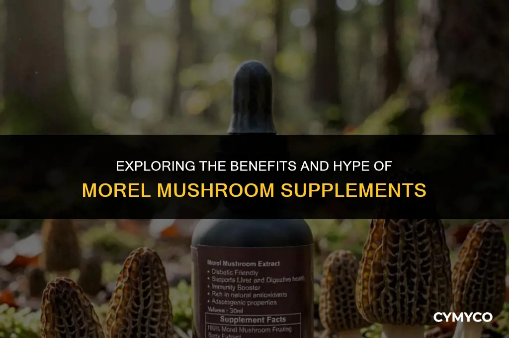 are morel lifters good