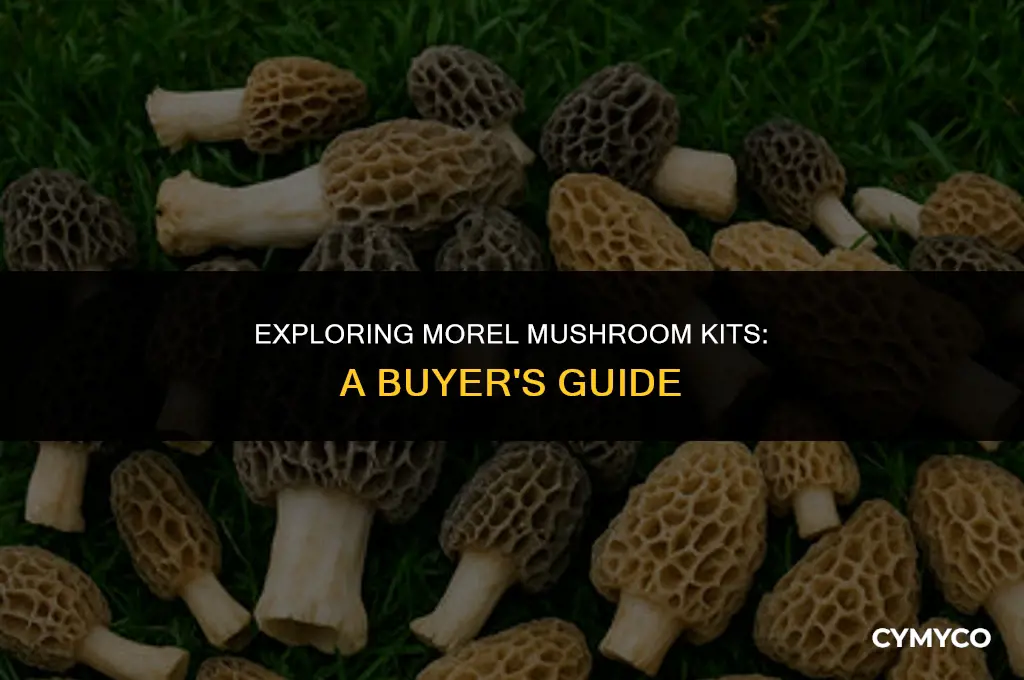 are morel mushroom kits good to buy
