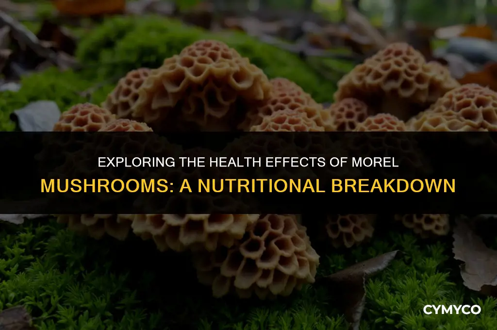 are morel mushrooms bad for you