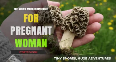 Nourishing Pregnancy: The Benefits of Morel Mushrooms for Expectant Mothers