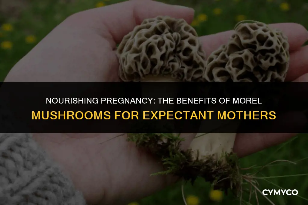 are morel mushrooms good for pregnant woman