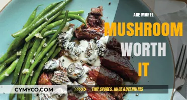 Exploring the Culinary Value of Morel Mushrooms: A Worthwhile Journey?