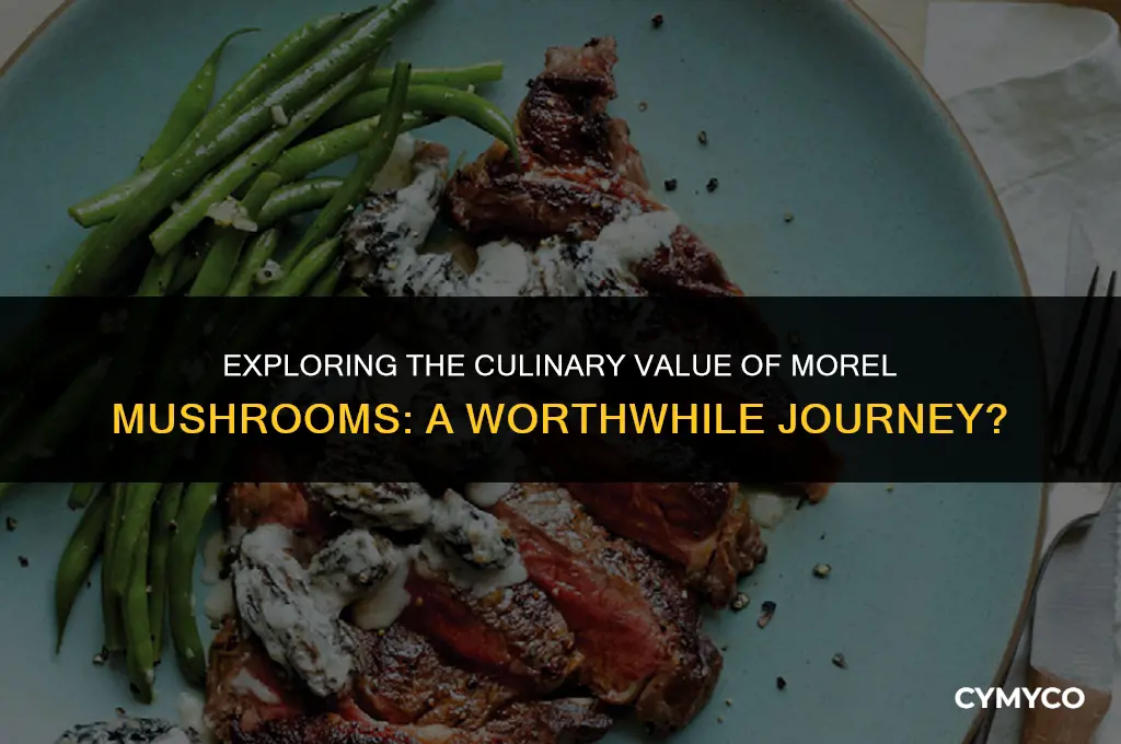 are morel mushrooms worth it