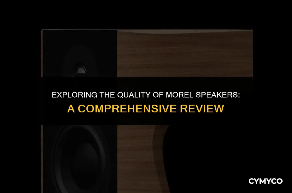 are morel speakers any good