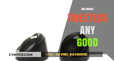 Exploring the Hype: Are Morel Tweeters Worth the Buzz?
