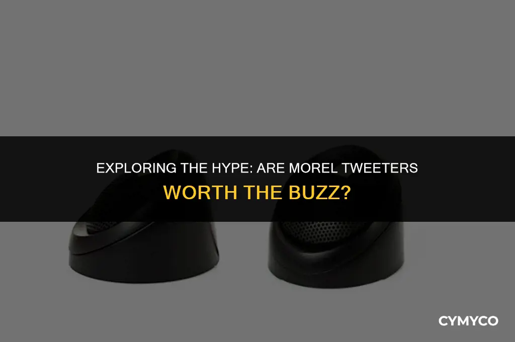 are morel tweeters any good