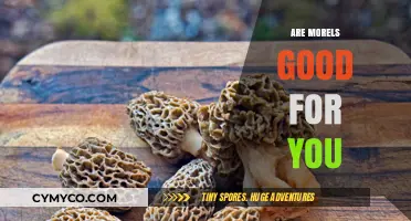 Exploring the Health Benefits of Morels: A Nutritional Guide